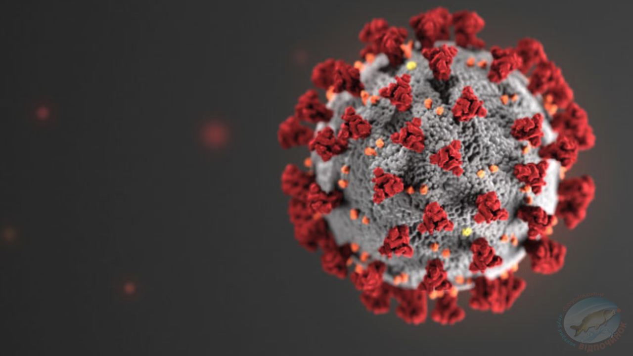 Koronavirus